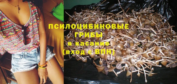 а пвп мука Нея