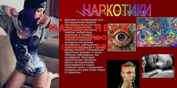 амф Нефтегорск