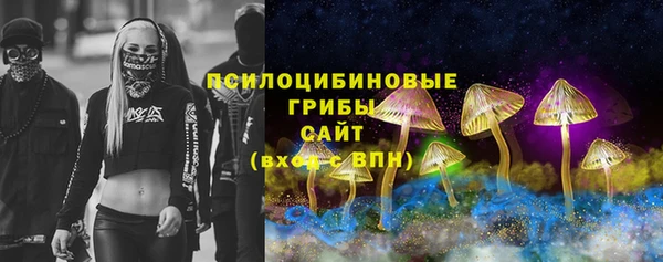 винт Арсеньев